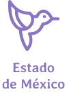 Estado de México